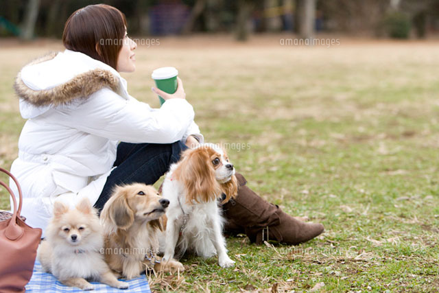 芝生でリラックスする犬と女性
(c)DAJ